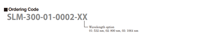 SLM- (order1).png SLM- (order1).png