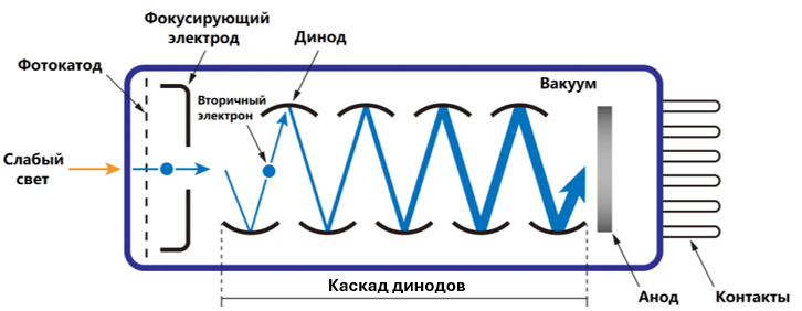 Схематическое устройство стандартного торцевого ФЭУ